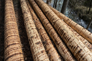 Peeled timber lumbers