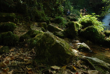 Roccia