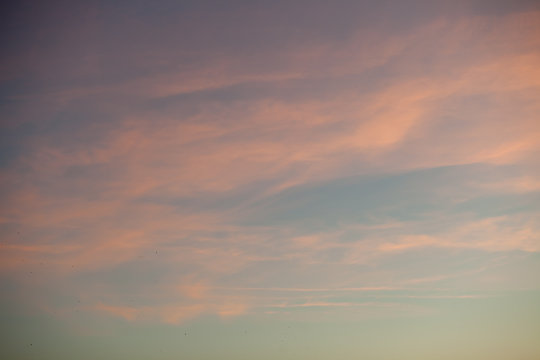 Pink sunset sky with clouds