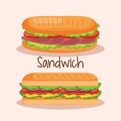 delicious sandwich fast food vector illustration design