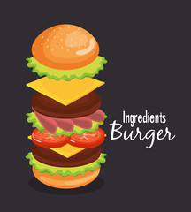 delicious big burger fast food vector illustration design