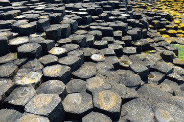 Giants Causeway, an area of hexagonal basalt stones, created by ancient volcanic fissure eruption,...