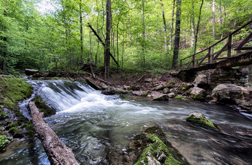 Obraz premium Slippery Rocks