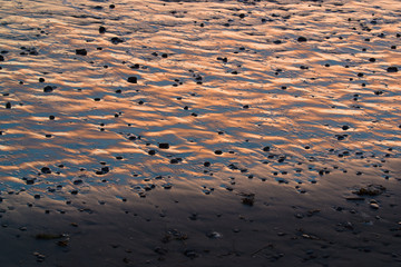 Wet Sand Reflecting Sunset at Beach