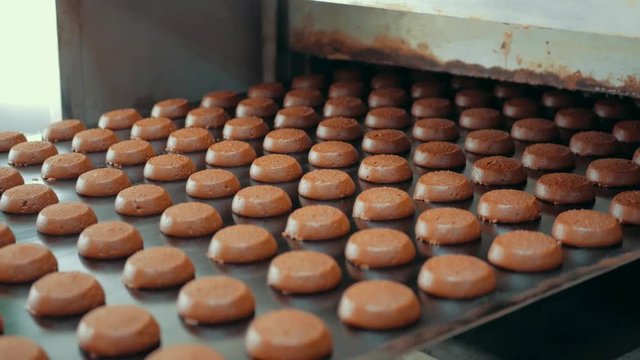 Cakes on automatic conveyor belt or line, process of baking in confectionery culinary factory or plant. Food industry, cookie and other sweet breadstuff production. Close up