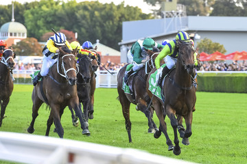 horse racing on turf