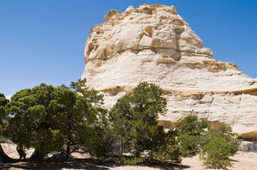 Pale rock