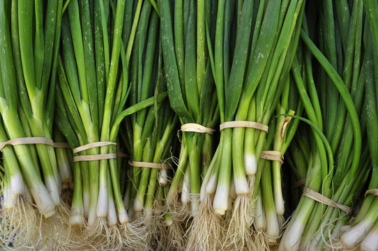 150+ Thousand Cut Green Onion Royalty-Free Images, Stock Photos & Pictures