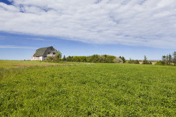 Fototapeta na wymiar Views from Prince Edward Island Canada