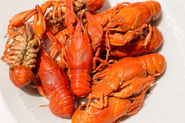 many boiled crawfish on white plate food and drinks concept 