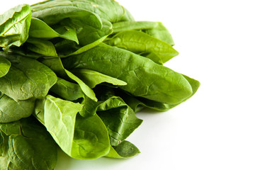 fresh green spinach isolated