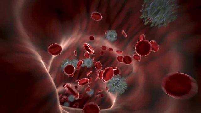 Virus im Blutgef&auml;&szlig;