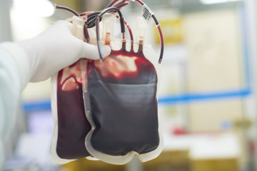 Red blood bag in hand scientist. - obrazy, fototapety, plakaty