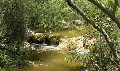 Fototapeta premium Small river scene with waterfall in southern Arizona