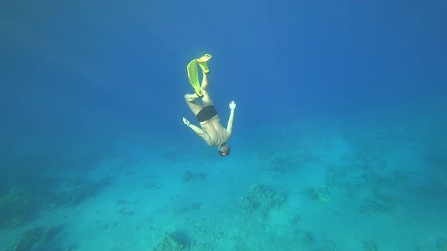 Rafa koralowa