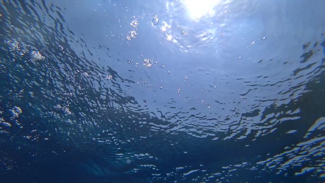 Rafa koralowa .Dahab. Egipt