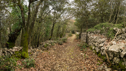 Old roman road in the forest in Cres on a cloudy day in spring