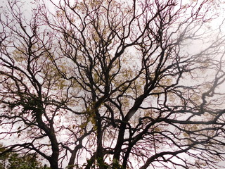 Sí yo no creo en mi pues nadie lo hará