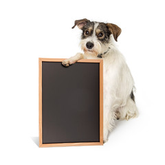 Saggy Terrier Dog Holding Blank Chalkboard Sign