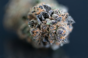Cannabis Flower