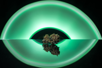 Cannabis Flower