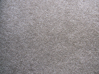 Fototapeta premium Carpet 