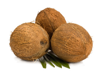 Coconuts isolated on white background