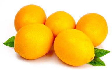 Lemons isolated on white background