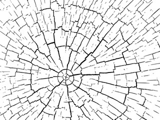  Structure of cracks of wood  vector background, Fragment of an old tree with a knot