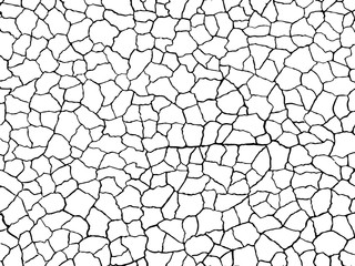 The cracks texture white and black. Vector background.Cracked earth. Structure of cracking. Cracks in dry surface soil texture.