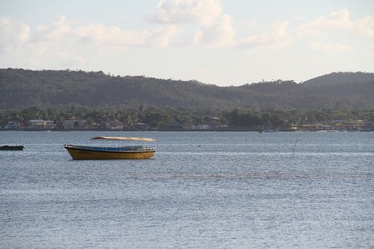 BARCO TIPO SAVEIRO