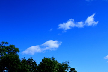札幌の青い空と白い雲の風景