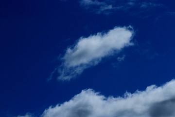Naklejka na ściany i meble 札幌の青い空と白い雲の風景