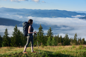 Young sporty female climber with backpack and trekking poles hiking on the top of a hill, looking away, enjoying morning haze in valley, forests on the blurred background. Copy space