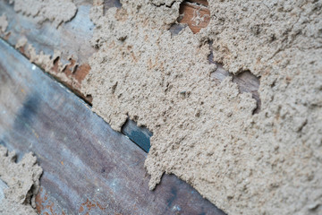 Termite damaged timber on wooden wall