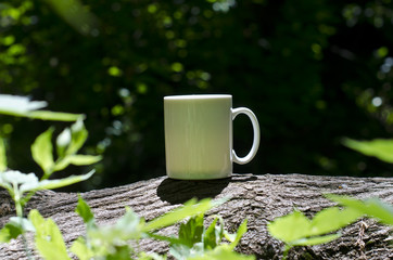 A solo blank white coffee mug on the tree trunks of the woodland area in the summer sun. 