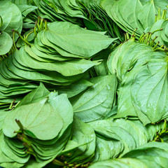 stacks of betel leaves.