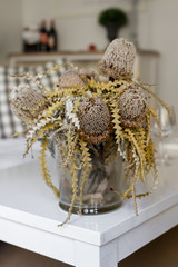 dried yellow Banksia flowers in vase