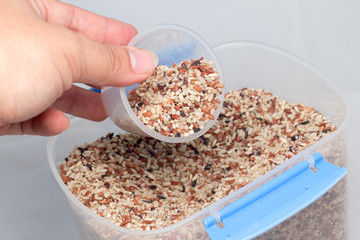 Raw brown rice isolated on white
