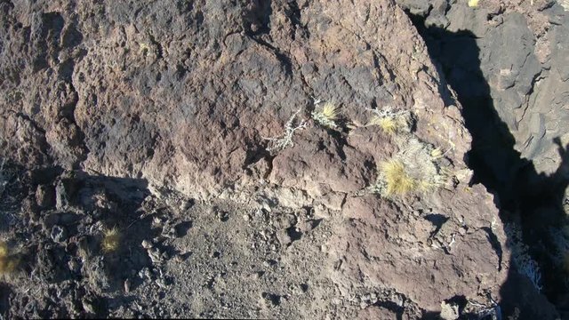 Stabilized camera ponting down to the feet of a man, walking over black small lapillis rocks and then pointing up to Payun Liso volcano on background, at La Payunia, Malargüe, Mendoza.