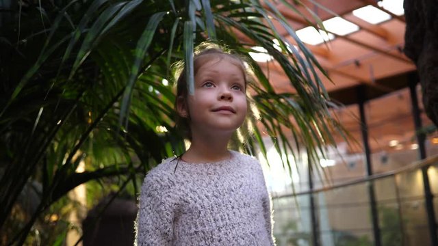 Little cute kid girl walking in a zoo garden near green plant admiring with interior