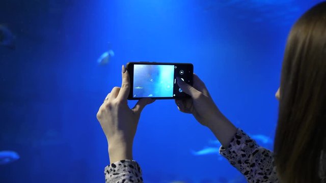 Girl holds phone takes pictures of fishes behind glass tube under water aquarium