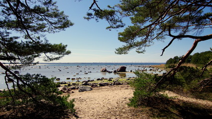 Fototapeta na wymiar Wakacje na estońskiej plaży w cieniu drzew - piękno bałtyckiego morza