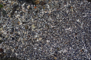 Background: sea sand with seashells, shells, pebbles close-up.