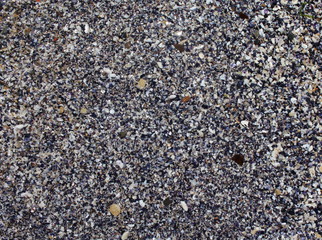 Background: sea sand with seashells, shells, pebbles close-up.