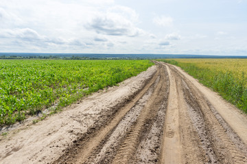 Vanishing dirt road with deep rut and puddles in meadow.