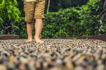 Boy Walking On A Textured Cobble Pavement, Reflexology. Pebble stones on the pavement for foot...