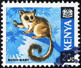Bush-baby on kenyan postage stamp