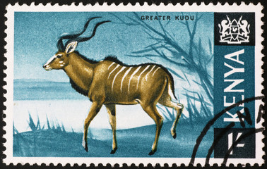 Greater Kudu on kenyan postage stamp