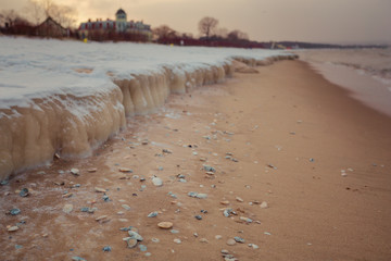 Frozen shells on the shore of Baltic sea